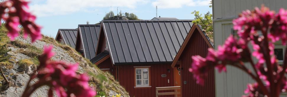 spring in Lofoten